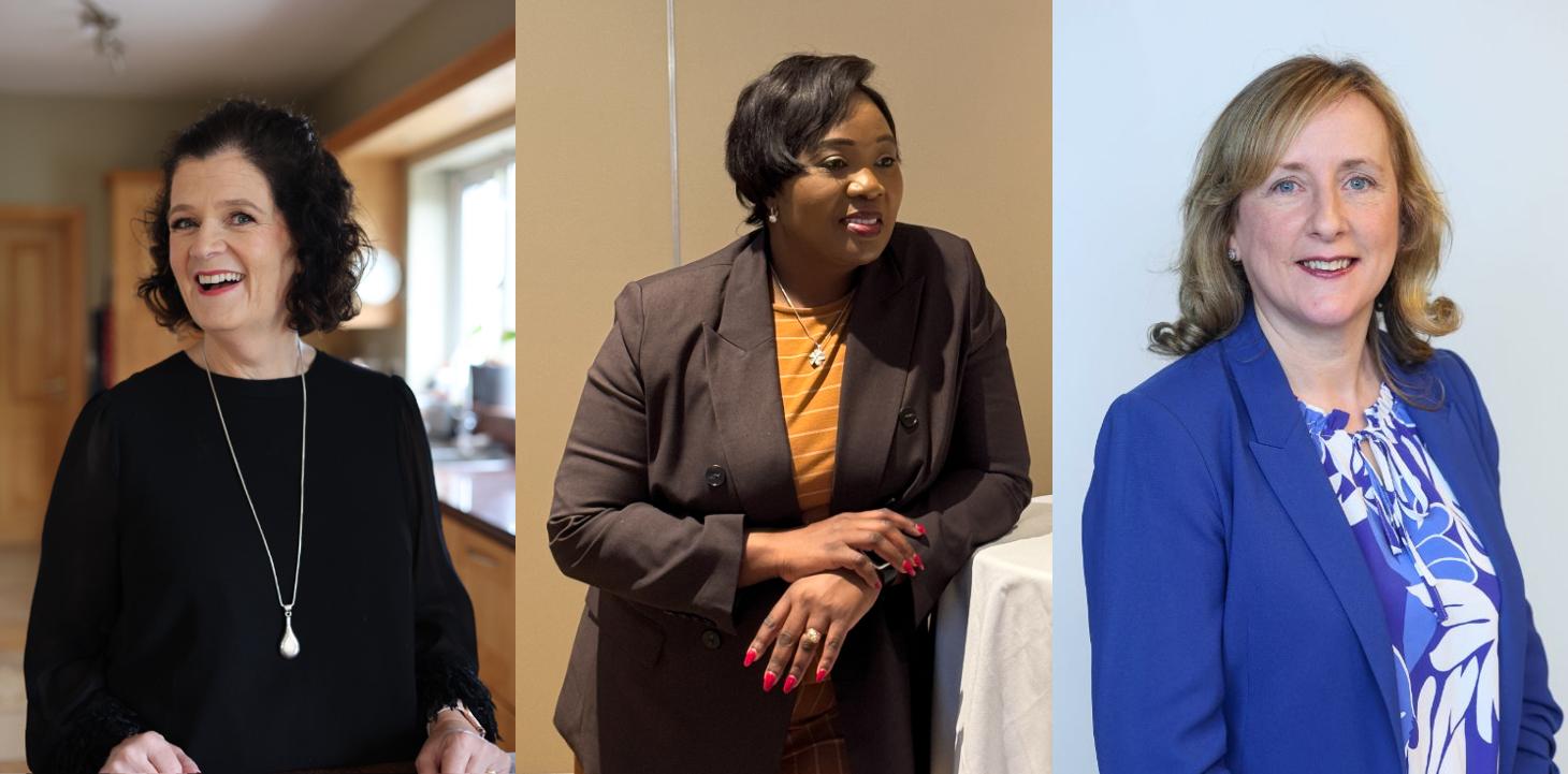 Speakers Network Ireland 3